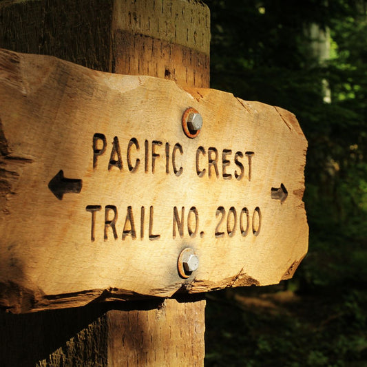 'Wild' From Lost to Found on the Pacific Crest Trail