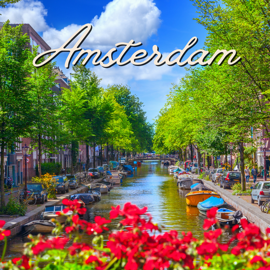 The Ultimate Amsterdam 2024 Travel Guide