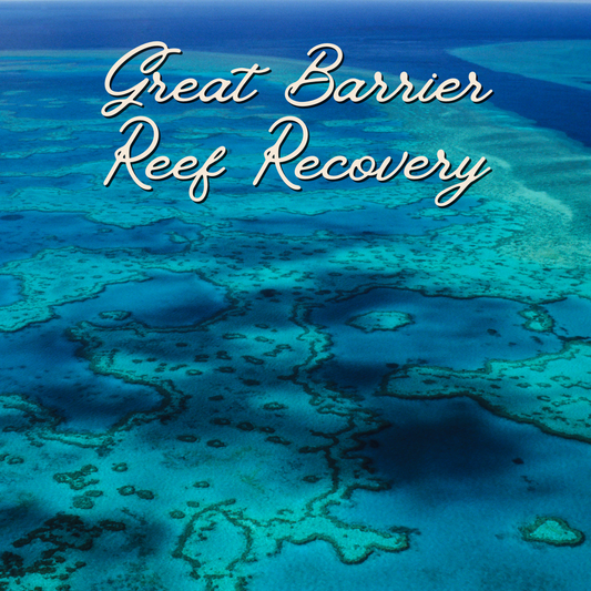 Ecotourism's Role in Great Barrier Reef Recovery