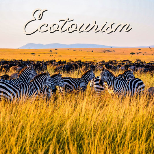 Eco-Tourism and Sustainable Travel Ultimate 2025 Guide